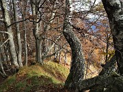 Monte Due Mani (1656 m) con Cima Muschiada (1458 m) dalla Culmine S. Pietro il 21 ottobre 2020- FOTOGALLERY 